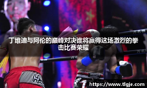 丁维迪与阿伦的巅峰对决谁将赢得这场激烈的拳击比赛荣耀