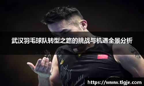 武汉羽毛球队转型之路的挑战与机遇全景分析