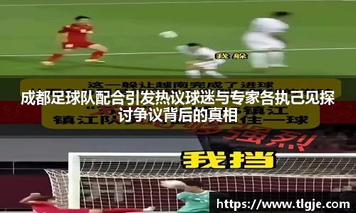 成都足球队配合引发热议球迷与专家各执己见探讨争议背后的真相