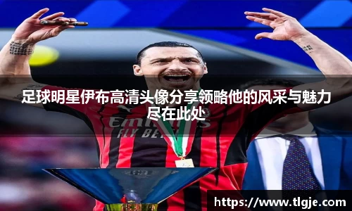 足球明星伊布高清头像分享领略他的风采与魅力尽在此处